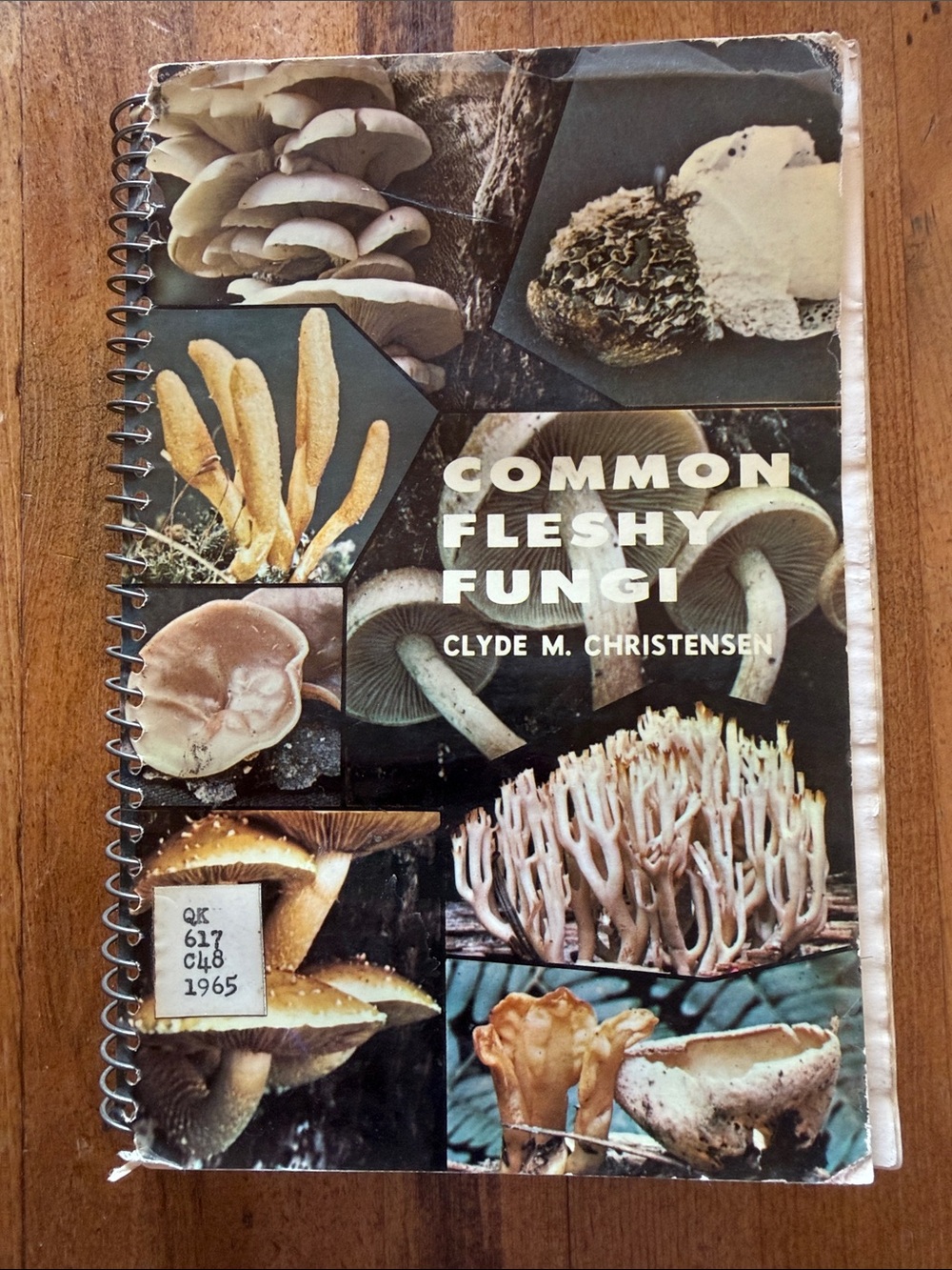 Vintage Common Fleshy Fungi Spiral Book